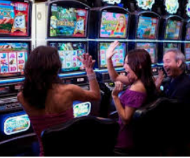 ledong网页版入口免费版