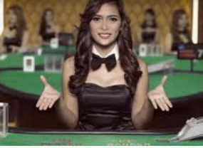 ledong网页版入口手机版